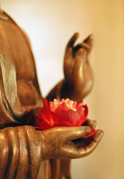 Ảnh đại diện bài 7