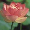 Ảnh đại diện bài 8