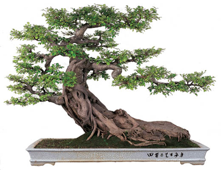 Ảnh đại diện bài 19