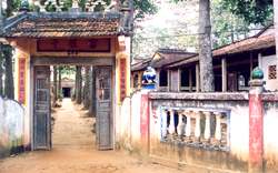 Ảnh đại diện bài 46