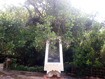 Ảnh đại diện bài 47